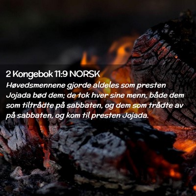 Picture 02 - 2 Kongebok 11:9 NORSK - Høvedsmennene gjorde aldeles som presten Jojada - Bible Verse Picture