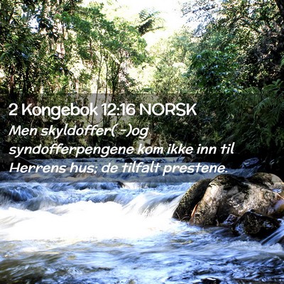 Picture 02 - 2 Kongebok 12:16 NORSK - Men skyldoffer( -)og syndofferpengene kom ikke - Bible Verse Picture