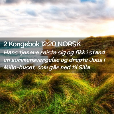 Picture 02 - 2 Kongebok 12:20 NORSK - Hans tjenere reiste sig og fikk i stand en - Bible Verse Picture
