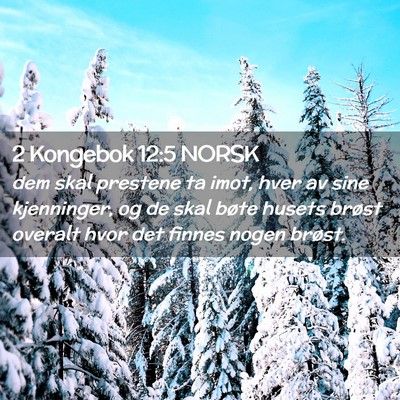 Picture 02 - 2 Kongebok 12:5 NORSK - dem skal prestene ta imot, hver av sine - Bible Verse Picture