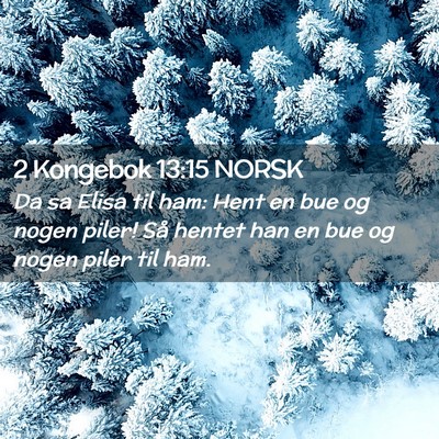 Picture 02 - 2 Kongebok 13:15 NORSK - Da sa Elisa til ham: Hent en bue og nogen piler! - Bible Verse Picture
