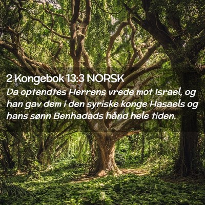 Picture 02 - 2 Kongebok 13:3 NORSK - Da optendtes Herrens vrede mot Israel, og han gav - Bible Verse Picture