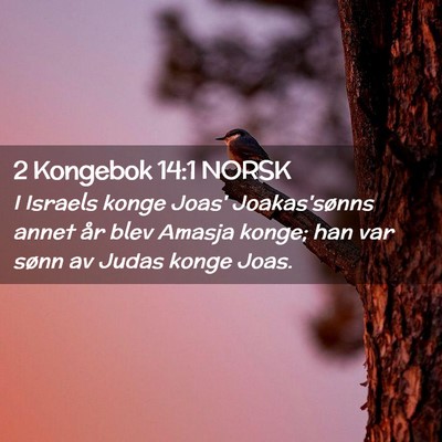 Picture 02 - 2 Kongebok 14:1 NORSK - I Israels konge Joas' Joakas'sønns annet år - Bible Verse Picture