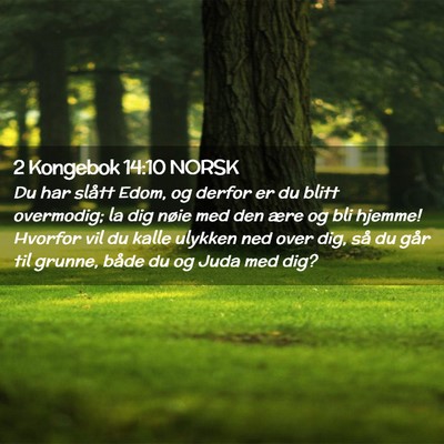 Picture 02 - 2 Kongebok 14:10 NORSK - Du har slått Edom, og derfor er du blitt - Bible Verse Picture