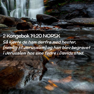 Picture 02 - 2 Kongebok 14:20 NORSK - Så kjørte de ham derfra med hester, {nemlig til - Bible Verse Picture