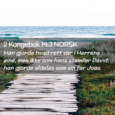 Picture 02 - 2 Kongebok 14:3 NORSK - Han gjorde hvad rett var i Herrens øine, men - Bible Verse Picture