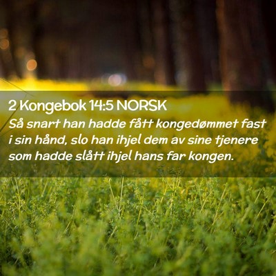 Picture 02 - 2 Kongebok 14:5 NORSK - Så snart han hadde fått kongedømmet fast i sin - Bible Verse Picture