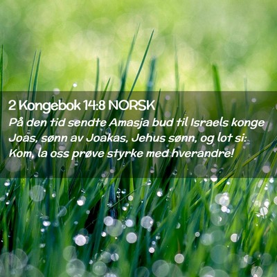 Picture 02 - 2 Kongebok 14:8 NORSK - På den tid sendte Amasja bud til Israels konge - Bible Verse Picture