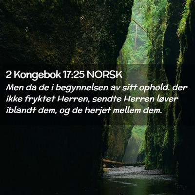 Picture 02 - 2 Kongebok 17:25 NORSK - Men da de i begynnelsen av sitt ophold. der ikke - Bible Verse Picture