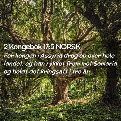 Picture 02 - 2 Kongebok 17:5 NORSK - For kongen i Assyria drog op over hele landet, og - Bible Verse Picture