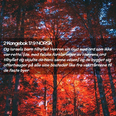 Picture 02 - 2 Kongebok 17:9 NORSK - Og Israels barn tilhyllet Herren sin Gud med ord - Bible Verse Picture