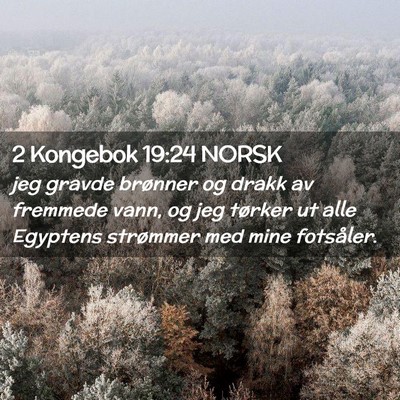 Picture 02 - 2 Kongebok 19:24 NORSK - jeg gravde brønner og drakk av fremmede vann, og - Bible Verse Picture
