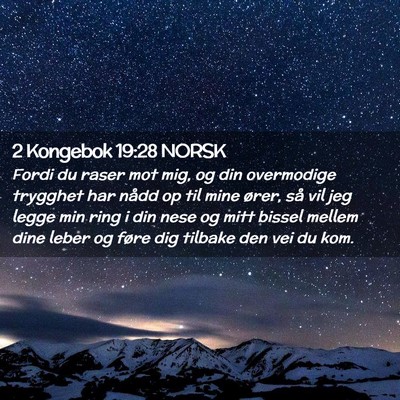 Picture 02 - 2 Kongebok 19:28 NORSK - Fordi du raser mot mig, og din overmodige - Bible Verse Picture