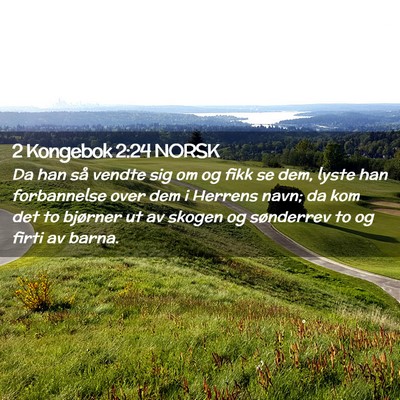 Picture 02 - 2 Kongebok 2:24 NORSK - Da han så vendte sig om og fikk se dem, lyste - Bible Verse Picture