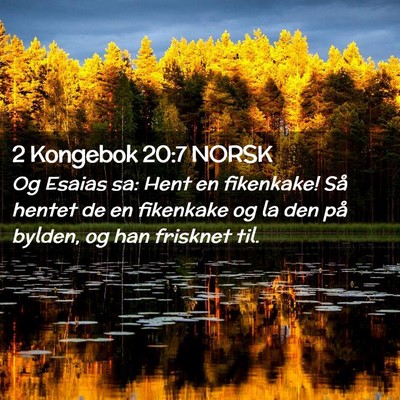 Picture 02 - 2 Kongebok 20:7 NORSK - Og Esaias sa: Hent en fikenkake! Så hentet de en - Bible Verse Picture