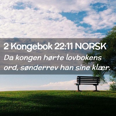 Picture 02 - 2 Kongebok 22:11 NORSK - Da kongen hørte lovbokens ord, sønderrev han - Bible Verse Picture
