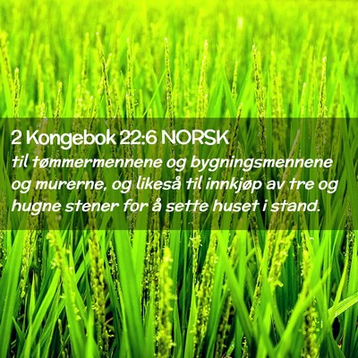 Picture 02 - 2 Kongebok 22:6 NORSK - til tømmermennene og bygningsmennene og murerne, - Bible Verse Picture