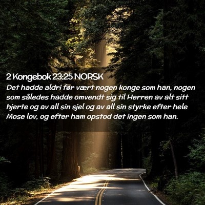 Picture 02 - 2 Kongebok 23:25 NORSK - Det hadde aldri før vært nogen konge som han, - Bible Verse Picture