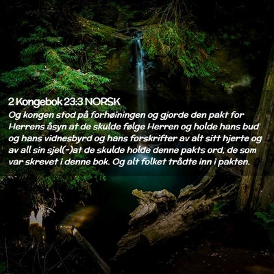 Picture 02 - 2 Kongebok 23:3 NORSK - Og kongen stod på forhøiningen og gjorde den - Bible Verse Picture