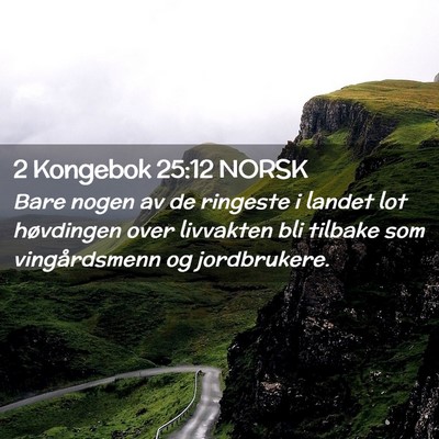 Picture 02 - 2 Kongebok 25:12 NORSK - Bare nogen av de ringeste i landet lot høvdingen - Bible Verse Picture