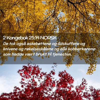Picture 02 - 2 Kongebok 25:14 NORSK - De tok også askebøttene og ildskuffene og - Bible Verse Picture