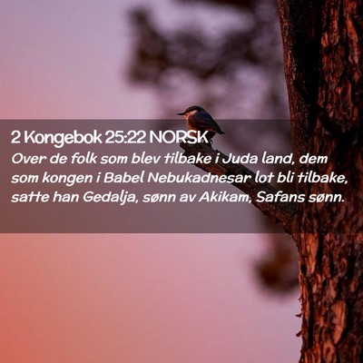 Picture 02 - 2 Kongebok 25:22 NORSK - Over de folk som blev tilbake i Juda land, dem - Bible Verse Picture