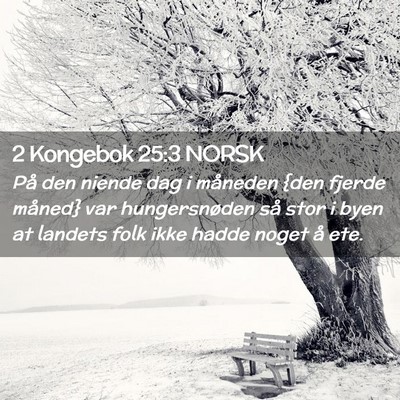 Picture 02 - 2 Kongebok 25:3 NORSK - På den niende dag i måneden {den fjerde måned} - Bible Verse Picture