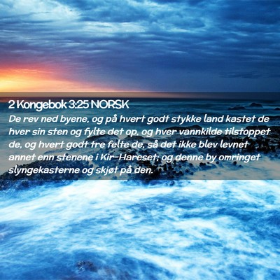 Picture 02 - 2 Kongebok 3:25 NORSK - De rev ned byene, og på hvert godt stykke land - Bible Verse Picture