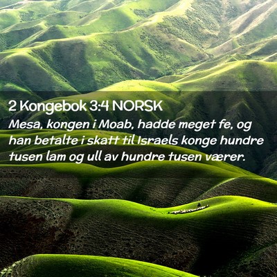 Picture 02 - 2 Kongebok 3:4 NORSK - Mesa, kongen i Moab, hadde meget fe, og han - Bible Verse Picture