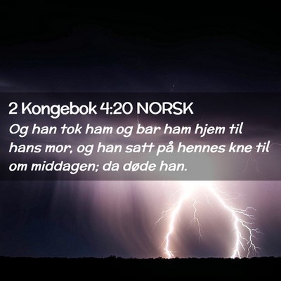 Picture 02 - 2 Kongebok 4:20 NORSK - Og han tok ham og bar ham hjem til hans mor, og - Bible Verse Picture