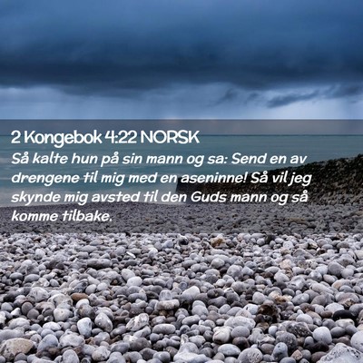 Picture 02 - 2 Kongebok 4:22 NORSK - Så kalte hun på sin mann og sa: Send en av - Bible Verse Picture