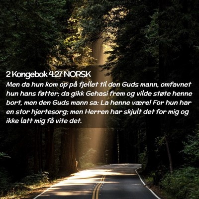 Picture 02 - 2 Kongebok 4:27 NORSK - Men da hun kom op på fjellet til den Guds mann, - Bible Verse Picture