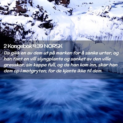 Picture 02 - 2 Kongebok 4:39 NORSK - Da gikk en av dem ut på marken for å sanke - Bible Verse Picture