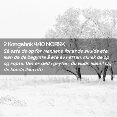 Picture 02 - 2 Kongebok 4:40 NORSK - Så øste de op for mennene forat de skulde ete; - Bible Verse Picture