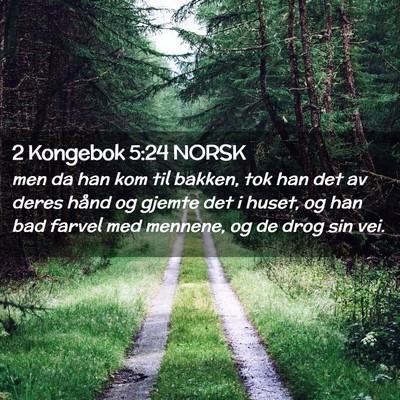 Picture 02 - 2 Kongebok 5:24 NORSK - men da han kom til bakken, tok han det av deres - Bible Verse Picture