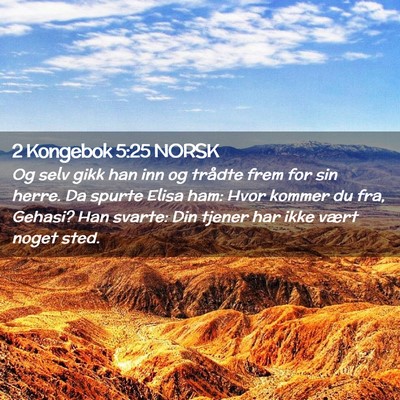 Picture 02 - 2 Kongebok 5:25 NORSK - Og selv gikk han inn og trådte frem for sin - Bible Verse Picture