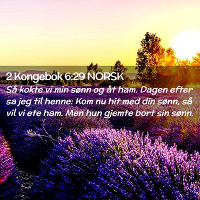 Picture 02 - 2 Kongebok 6:29 NORSK - Så kokte vi min sønn og åt ham. Dagen efter sa - Bible Verse Picture