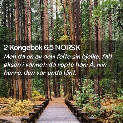 Picture 02 - 2 Kongebok 6:5 NORSK - Men da en av dem felte sin bjelke, falt øksen i - Bible Verse Picture