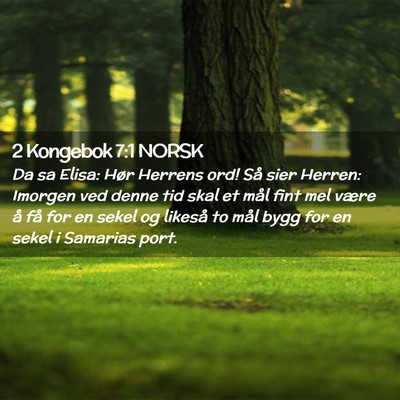 Picture 02 - 2 Kongebok 7:1 NORSK - Da sa Elisa: Hør Herrens ord! Så sier Herren: - Bible Verse Picture