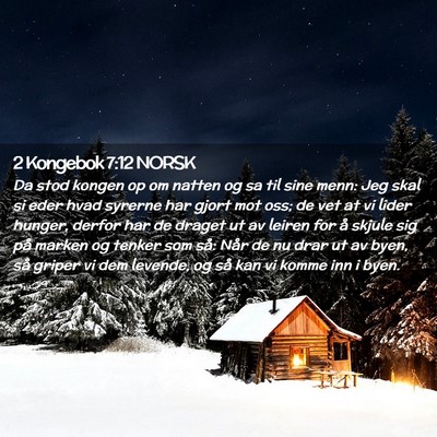 Picture 02 - 2 Kongebok 7:12 NORSK - Da stod kongen op om natten og sa til sine menn: - Bible Verse Picture