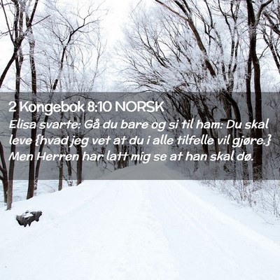 Picture 02 - 2 Kongebok 8:10 NORSK - Elisa svarte: Gå du bare og si til ham: Du skal - Bible Verse Picture