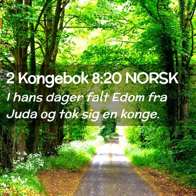 Picture 02 - 2 Kongebok 8:20 NORSK - I hans dager falt Edom fra Juda og tok sig en - Bible Verse Picture