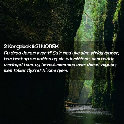 Picture 02 - 2 Kongebok 8:21 NORSK - Da drog Joram over til Sa'r med alle sine - Bible Verse Picture