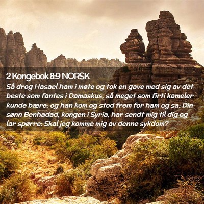 Picture 02 - 2 Kongebok 8:9 NORSK - Så drog Hasael ham i møte og tok en gave med - Bible Verse Picture