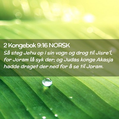 Picture 02 - 2 Kongebok 9:16 NORSK - Så steg Jehu op i sin vogn og drog til Jisre'l, - Bible Verse Picture