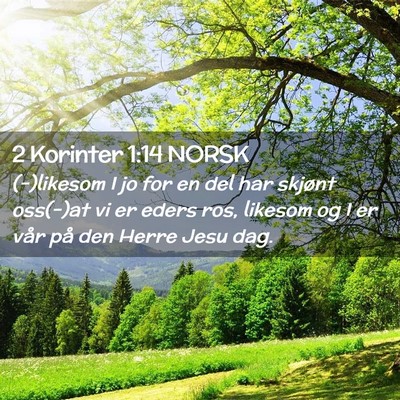 Picture 02 - 2 Korinter 1:14 NORSK - (-)likesom I jo for en del har skjønt oss(-)at - Bible Verse Picture