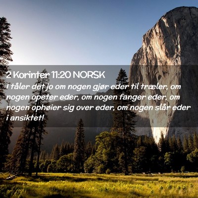 Picture 02 - 2 Korinter 11:20 NORSK - I tåler det jo om nogen gjør eder til træler, - Bible Verse Picture