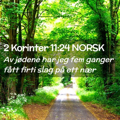Picture 02 - 2 Korinter 11:24 NORSK - Av jødene har jeg fem ganger fått firti slag - Bible Verse Picture