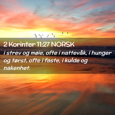 Picture 02 - 2 Korinter 11:27 NORSK - i strev og møie, ofte i nattevåk, i hunger og - Bible Verse Picture