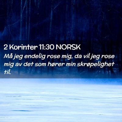 Picture 02 - 2 Korinter 11:30 NORSK - Må jeg endelig rose mig, da vil jeg rose mig av - Bible Verse Picture
